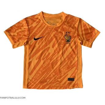 Franța Portarii Tricou Fotbal Replică European 2024 Barbati Deplasare